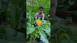 Thumbnail: 3 months ago, this bed was just soil