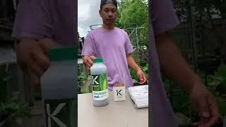 Thumbnail: We used to panic every time we saw aphids on my plants. Not anymore