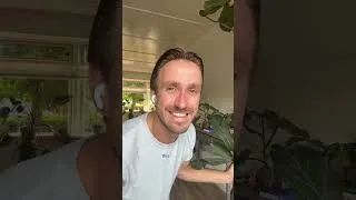 Thumbnail: finding a 20 years old #ficuslyrata while #thrifting is every #plantparent wish!