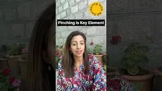 Thumbnail: How to make any Plant Bushy #gardening  #summerfloweringplant #salvia #pakistangardening #plants