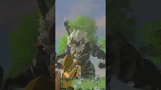 Thumbnail: SMASHING the Great Plateau Lynel in HD