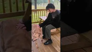 Thumbnail: PLK Pet Co - Hooves & Paws May 2026 - Bark's BarkBox