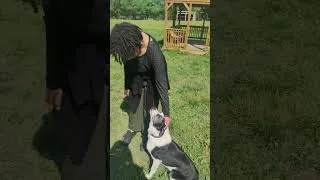 Thumbnail: PLK Pet Co - Hooves & Paws April 2026 - Wild One's Collar Walk Kit