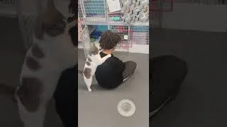 Thumbnail: PLK Pet Co - Fluvanna SPCA March 2025 - Wild One's Cat Tunnel