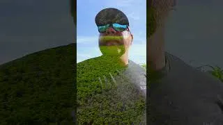 Thumbnail: An update on our soybean food plot! #landmanagement #soybeans #foodplots