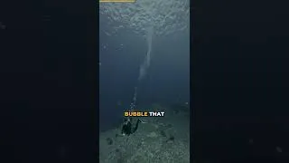 Thumbnail: Pistol Shrimp's Claw Creates Something Hotter Than the Sun