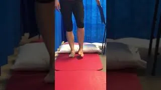 Thumbnail: Ankle Exercise Balance and Proprioception