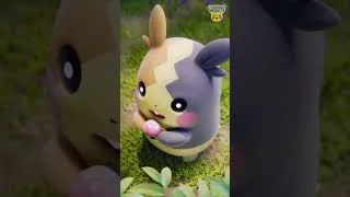 Thumbnail: Pokémon Shorts - Animated Pokédex : Morpeko - #PokemonFunVideo #PokemonKidsTV​