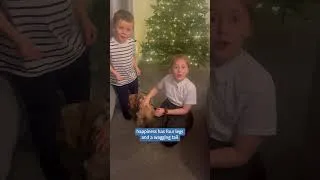 Thumbnail: best present ever #shorts #dogslife #puppylife