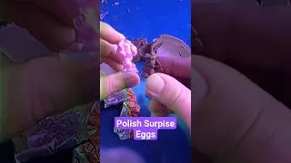 Thumbnail: Looney Tunes Kojot Surprise Eggs Opening Shorts #118