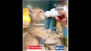 Thumbnail: Government, public funds and the people