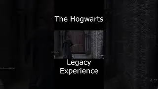 Thumbnail: The Cam likes doors (Hogwarts Legacy)