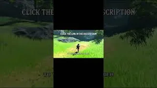 Thumbnail: THE BEAUTY OF: BREATH OF THE WILD