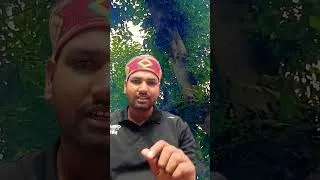 Thumbnail: आइसोलेटर को मेंटेनेंस या रिपेयर, इंस्पेक्शन के लिए किसी इलेक्ट्रिक पावर सिस्टम में लगाया जाता हैl