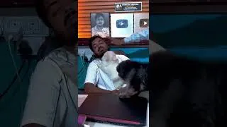 Thumbnail: Pomtoy Anurag Pet Shop funny video. #pets #petfunnyshort #dog #doglove