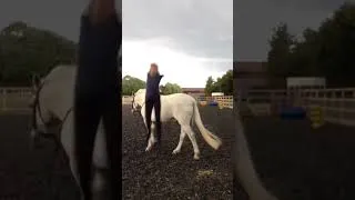 Thumbnail: This Almost Ended Badly! Horse Fail #shorts