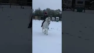 Thumbnail: Cheeky Pony! At Least There’s A Soft Landing…Horse Fails