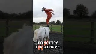 Thumbnail: DO NOT TRY THIS AT HOME! Backflipping Off My Horse 😳