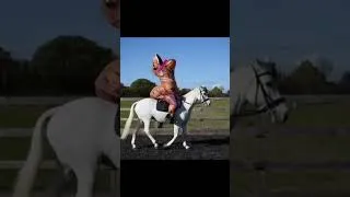 Thumbnail: World’s Most Bombproof Pony! Jumping My Horse In An Inflatable Dinosaur Costume