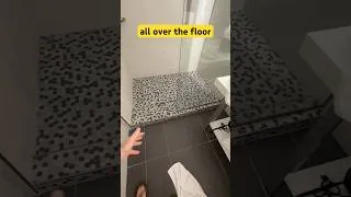 Thumbnail: I guess shower curtains are out?