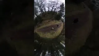 Thumbnail: Labrador’s are the best!