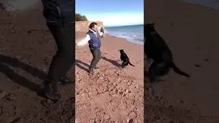 Thumbnail: November at the beach