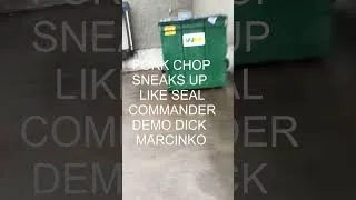 Thumbnail: MACVSOG Dumpster Dive - Navy Seals Mission Behind Vietcong Lines - East Syracuse NY Aldi - Pork Chop
