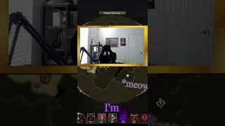 Thumbnail: My Cat Has Something To Say