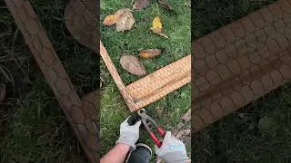 Thumbnail: "This Is Pure Satisfaction ✨"
