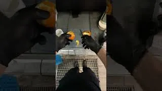 Thumbnail: Dishwasher eat orange in the work