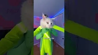 Thumbnail: Send me a DM❤️ #pov #shorts #cats #freeadspace