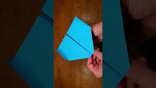 Thumbnail: WORLD RECORD Paper Airplane #shorts