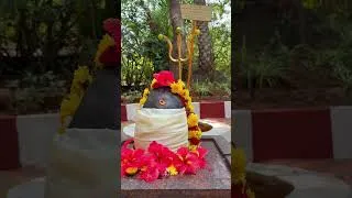 Thumbnail: Abhigya Anand's visit to Sri Sri Gurukulam