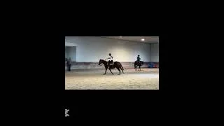 Thumbnail: Fast pony 🥺