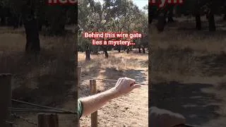 Thumbnail: The unmarked gate leading to an ancient Portuguese enigma…