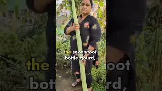 Thumbnail: ప్రపంచం లోనే పొడుగైన సొరకాయ మన గార్డెన్ లో #premasgarden  #shorts #ytshortsviral #viralshorts