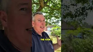 Thumbnail: Does your lawn look DEAD