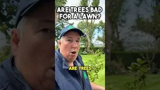 Thumbnail: Are trees actually bad for your lawn?