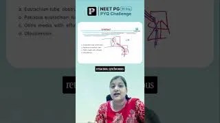 Thumbnail: ENT Questions Can Be Tricky 👂🧠 #neet
