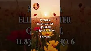 Thumbnail: 🙏Schubert - Ave Maria - Ellens dritter Gesang III, D  839 Op. 52, No. 6 (shorts)