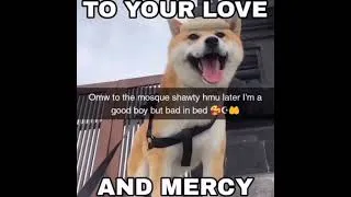 Thumbnail: allah doge