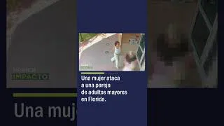 Thumbnail: Una Mujer Ataca a una Pareja de Adultos Mayores en Florida