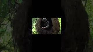 Thumbnail: My House #shorts