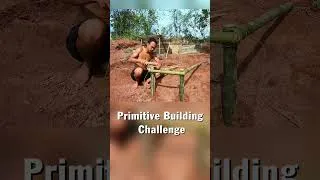 Thumbnail: Primitive Construction Challenge Building Pool