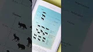 Thumbnail: Wolf: The Illustrated Biography
