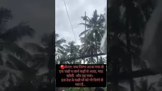 Thumbnail: केरलजब तिरंगा अटक गया तो पक्षी न जाने कहाँ से आया गांठ खोली इस देश के पक्षीको भी तिरंगे से प्यार है