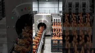 Thumbnail: Comment if you wanna watch entire Process. #Foodprocessing