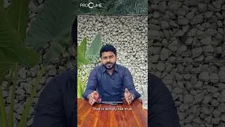 Thumbnail: Can Planting Trees Really Make You a Millionaire?