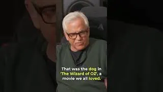Thumbnail: TOTO Was Never Suppose To Be The Bands Name - With Steve Porcaro