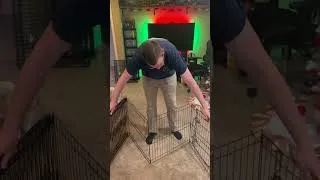 Thumbnail: This VEVOR play pen is great for small dogs! #sponsored #dogowner #doglovers
